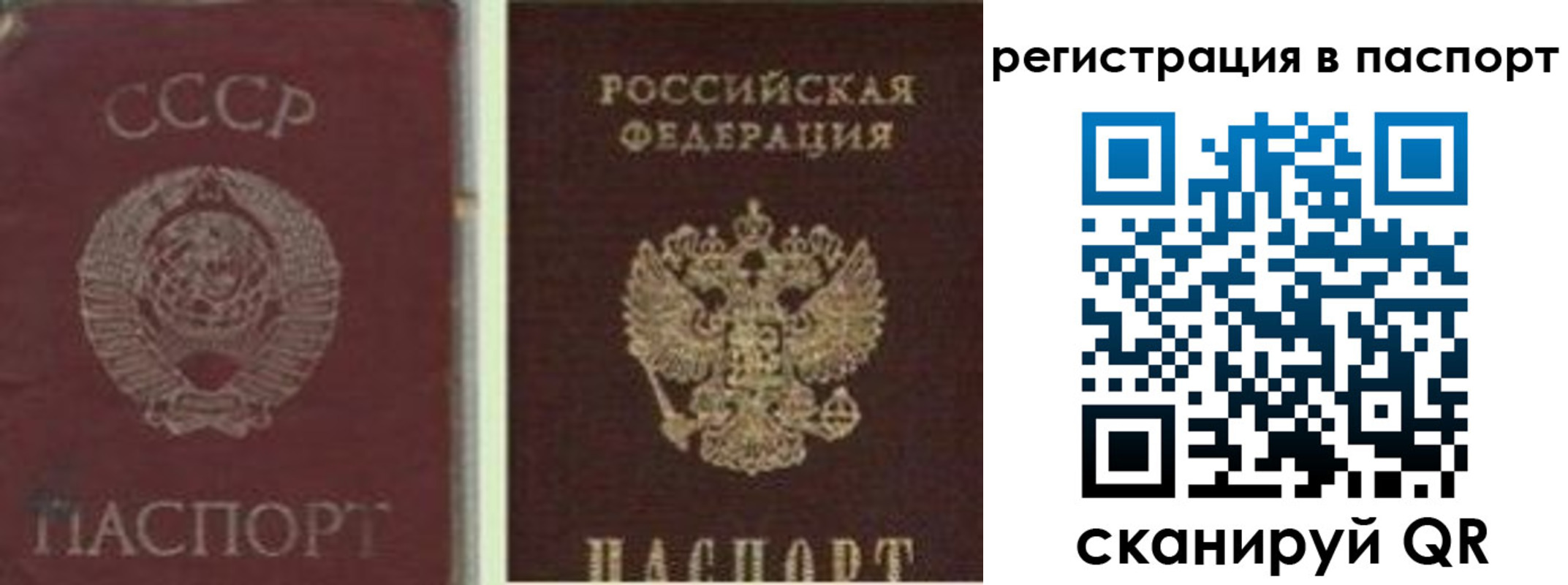 прописка для школы в Муроме